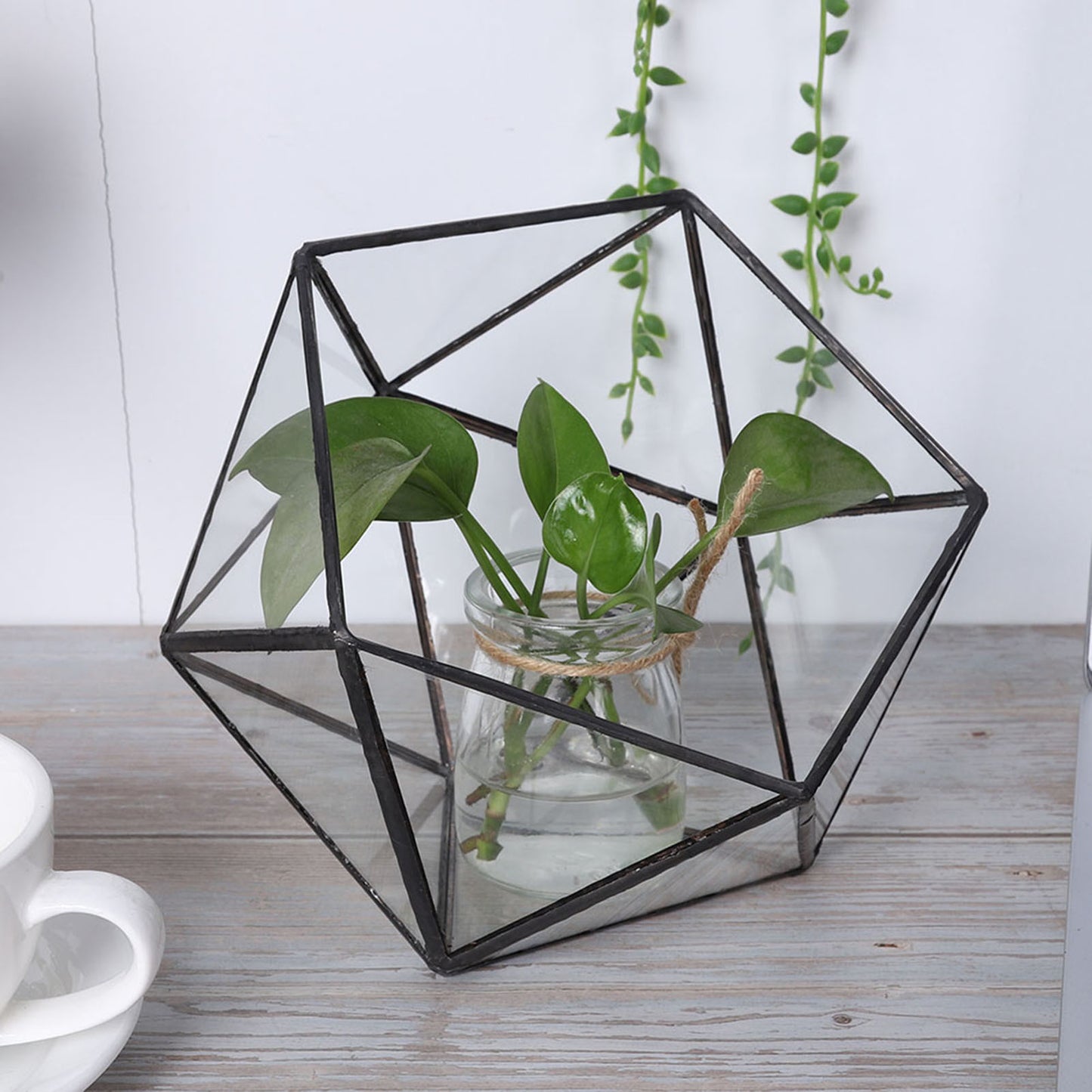 Unique Geometric Glass Planter Container Landscape Decoration for Succulents Moss Fern Plants