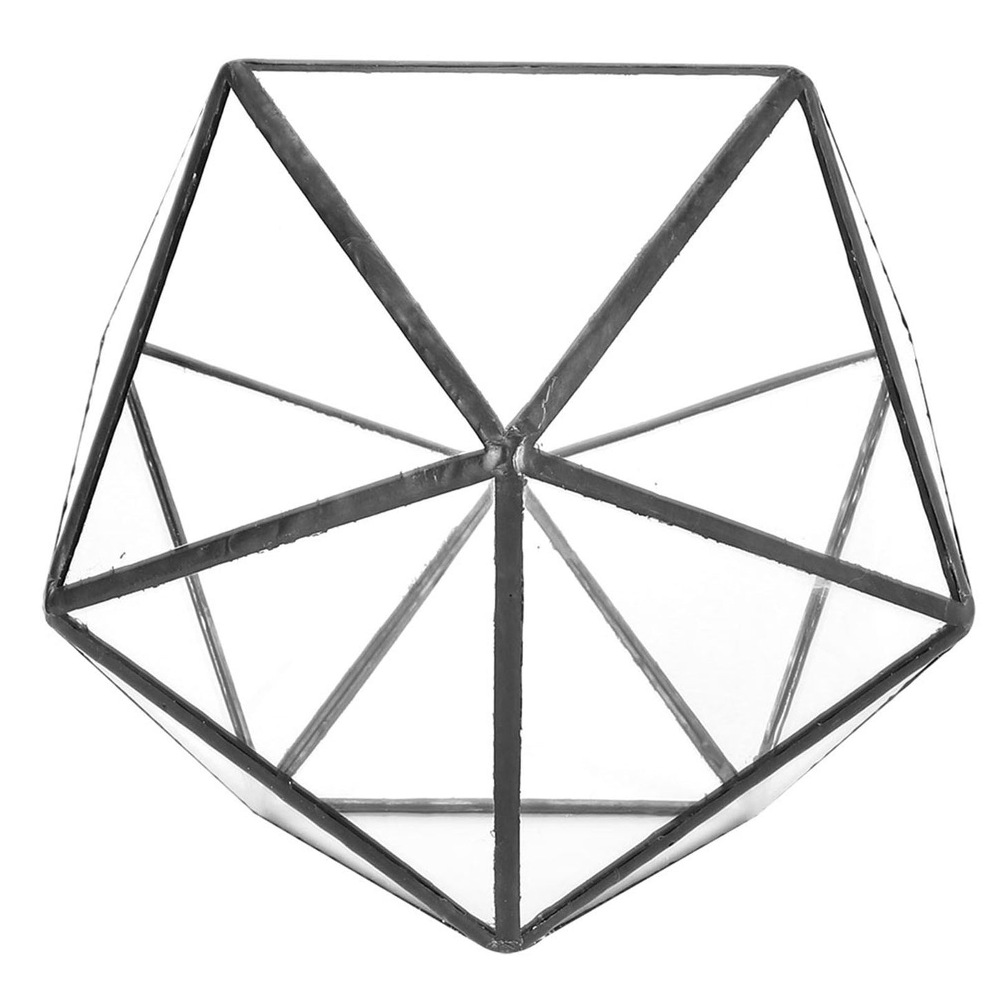 Unique Geometric Glass Planter Container Landscape Decoration for Succulents Moss Fern Plants