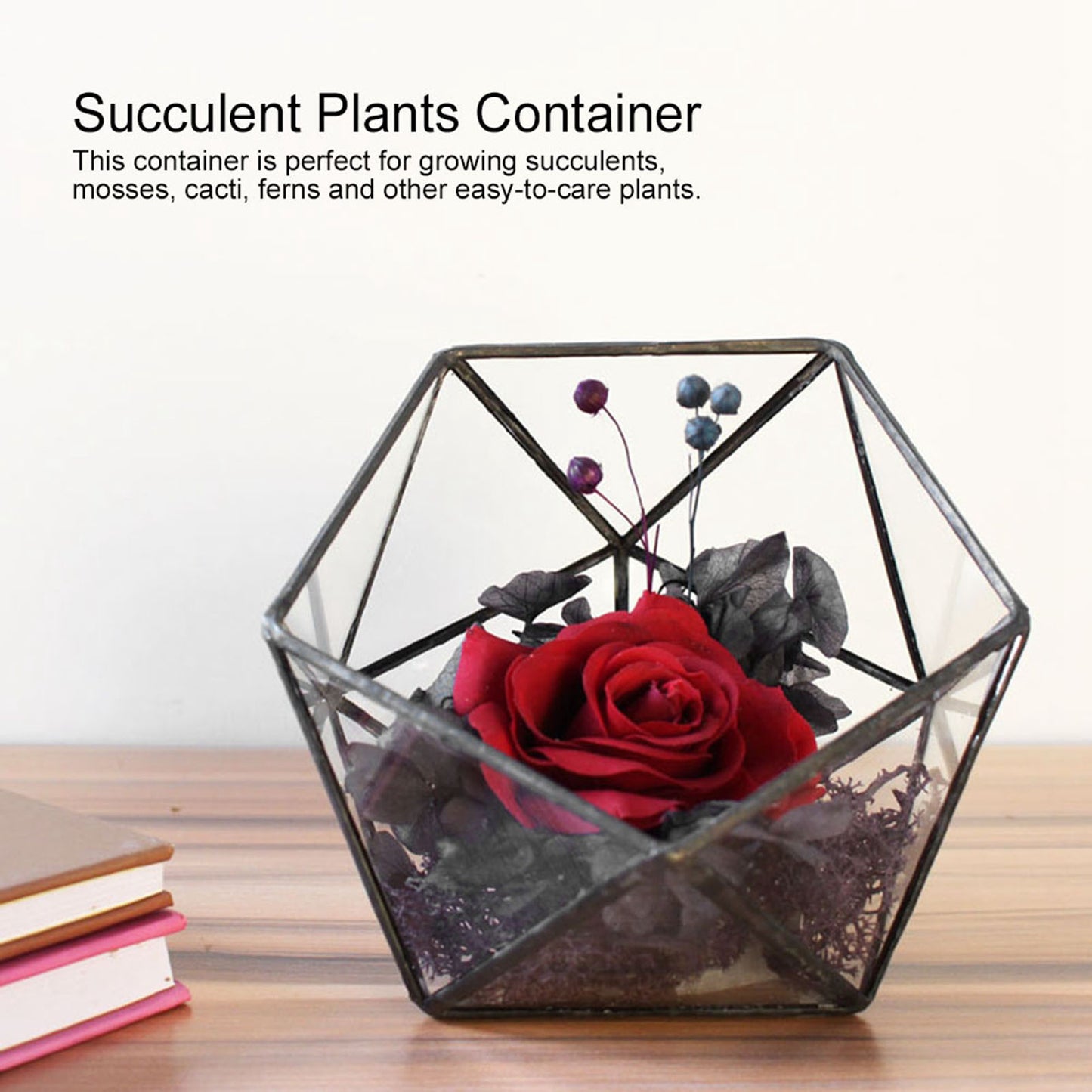Unique Geometric Glass Planter Container Landscape Decoration for Succulents Moss Fern Plants