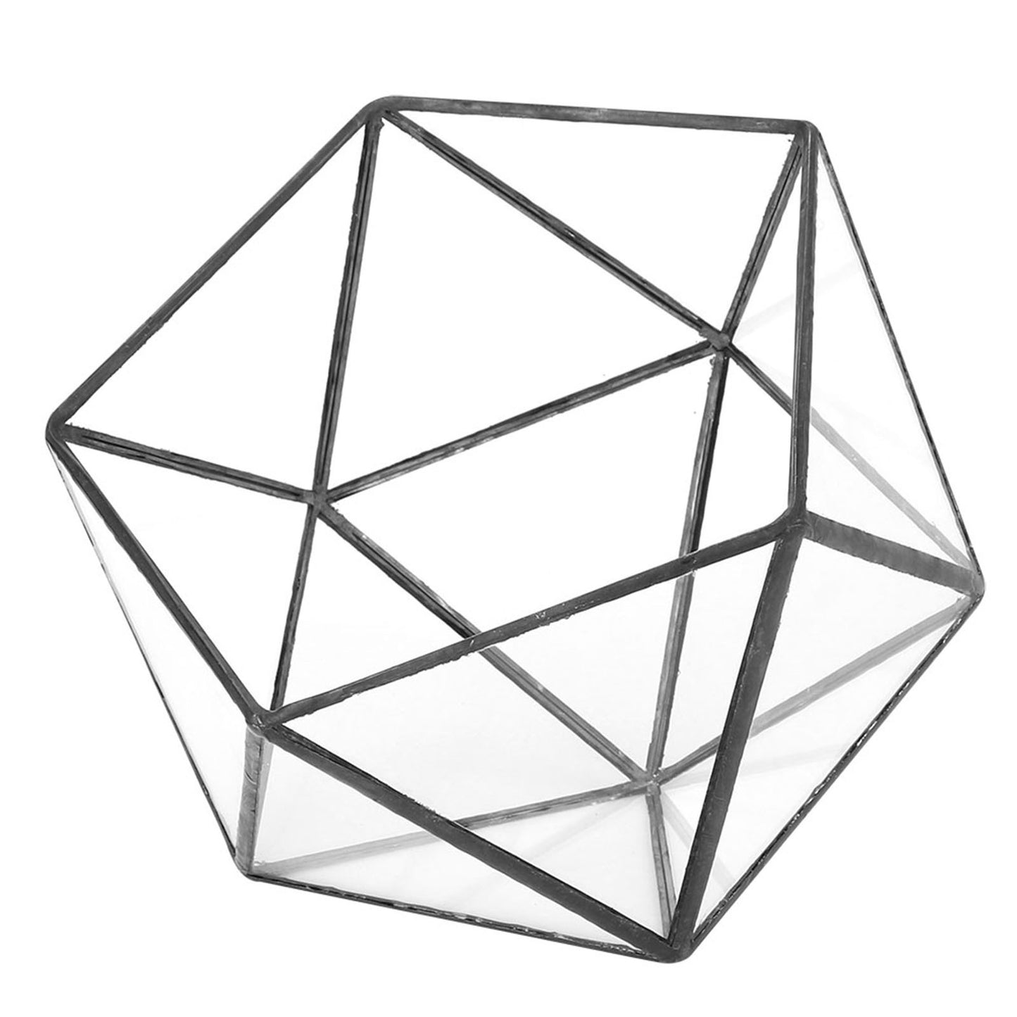 Unique Geometric Glass Planter Container Landscape Decoration for Succulents Moss Fern Plants