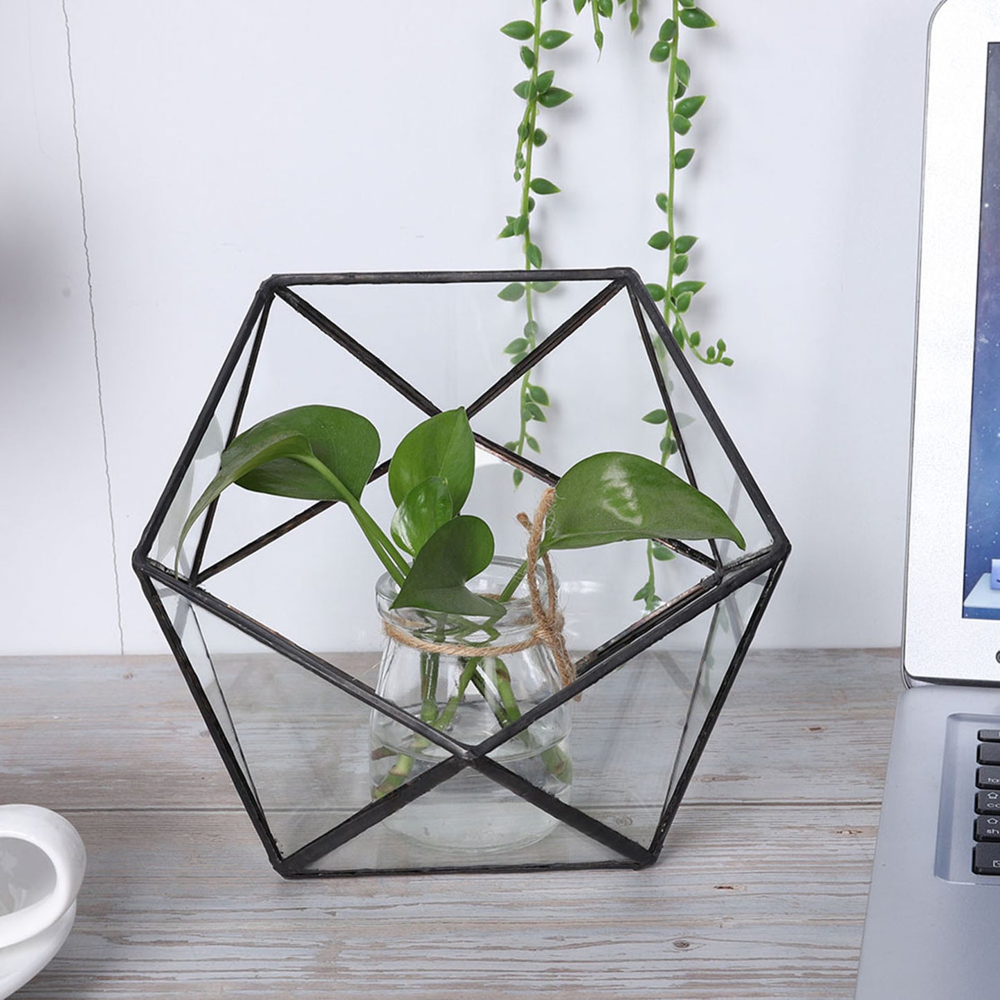 Unique Geometric Glass Planter Container Landscape Decoration for Succulents Moss Fern Plants